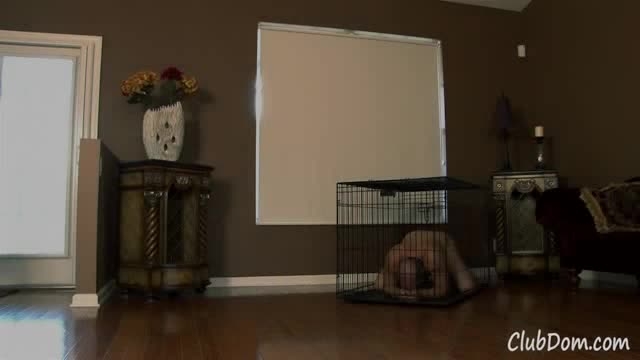 Bondage Chair Fuck