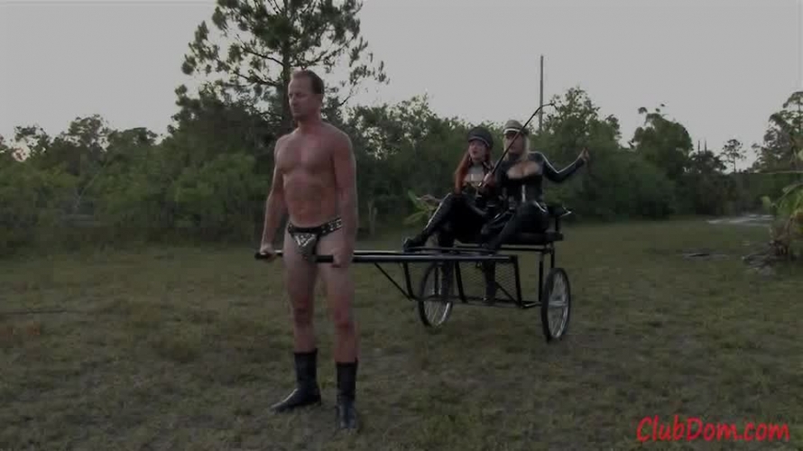 Punishing the Lazy Pony