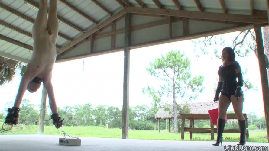 The Whip Never Sleeps