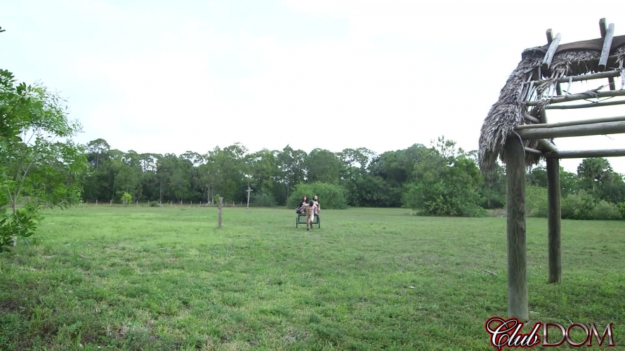 Michelle and Tangent's Auction Slave 1: Ball Torture
