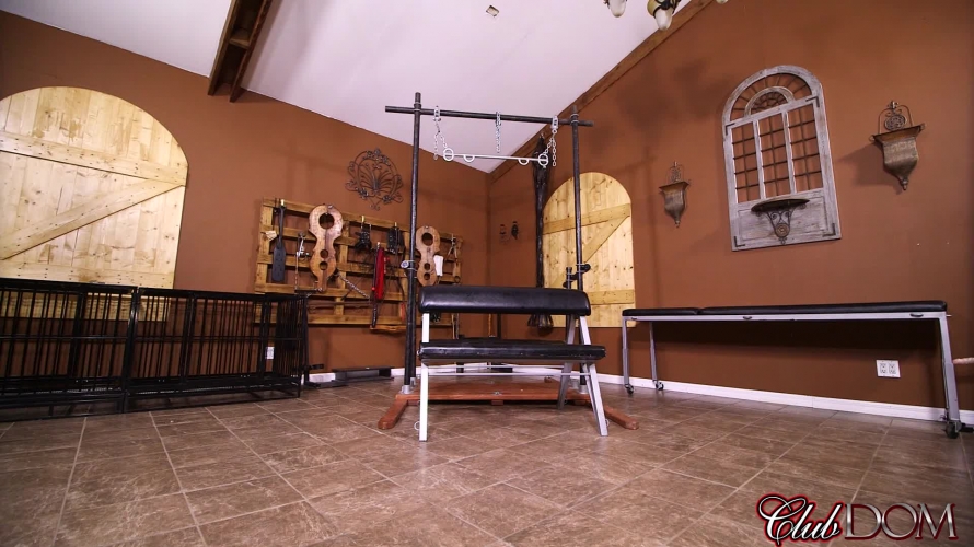 Lexi & Kelly Strapon Fucking Lew