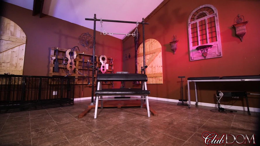 Helpless Fuck-Toy for the Guardesses