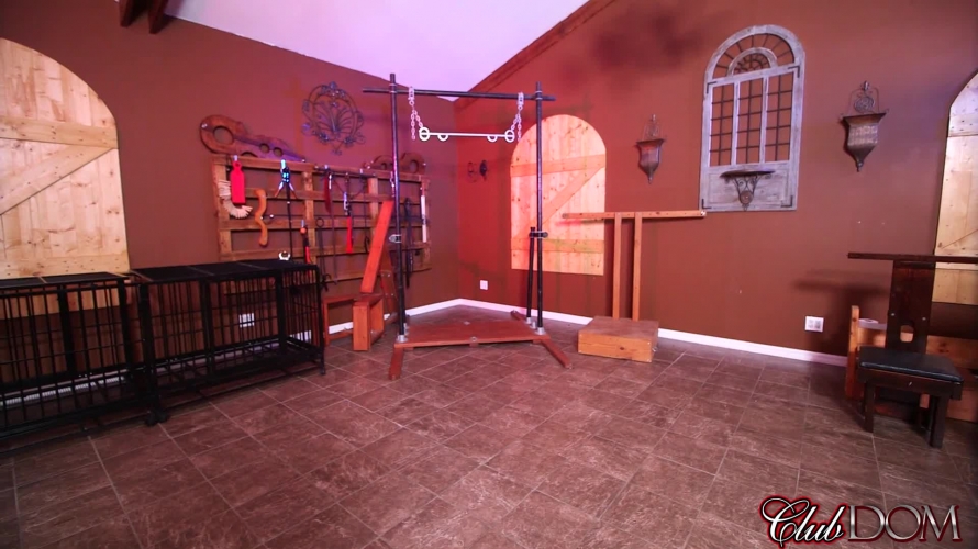 Kylie Rogue & Michelle Lacy Strapon 2