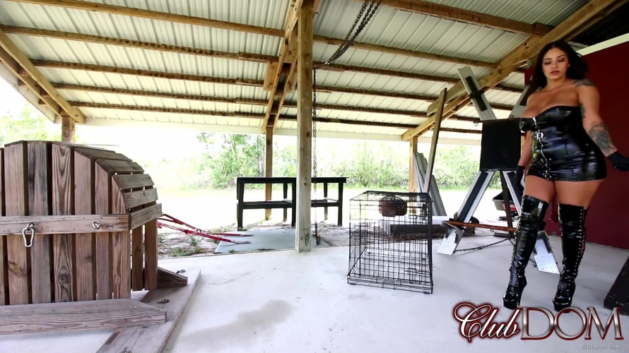 Jamie Valentine Facesmack