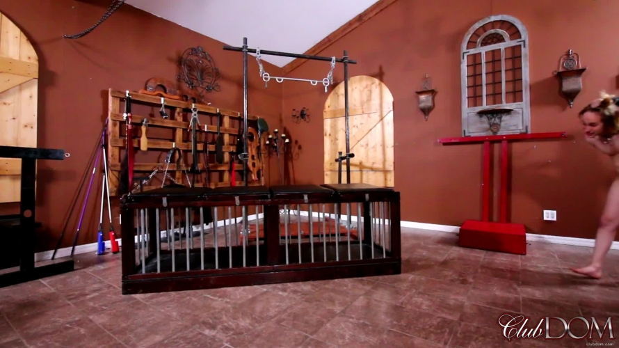 Temptress Raven Eve Muddy Boots